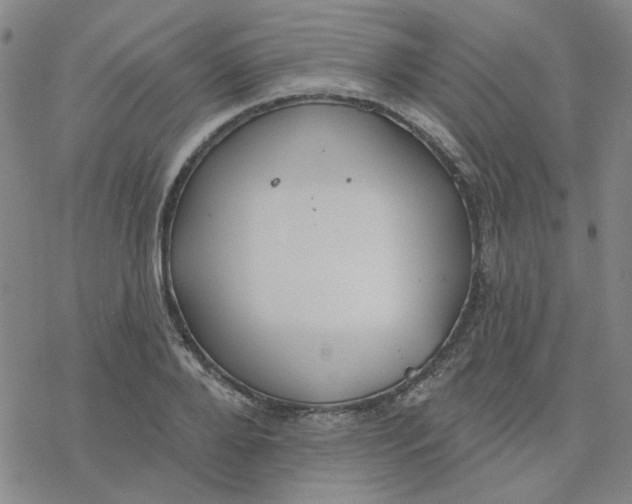 X0000076400888200610271615