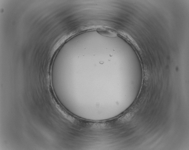 X0000076400890200610271615