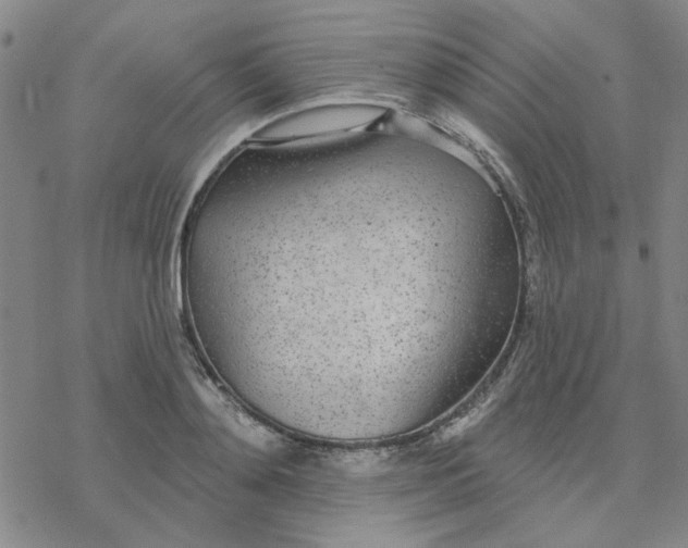 X0000076400892200610271615