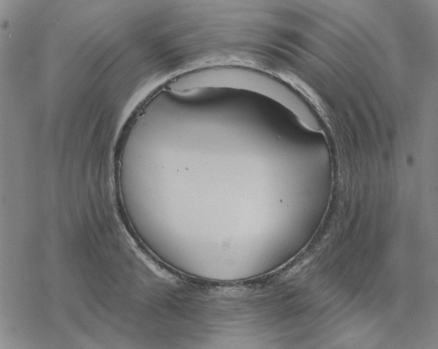 X0000076400894200610271615