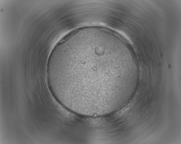 X0000076400895200610271615