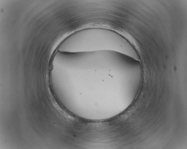 X0000076400896200610271615