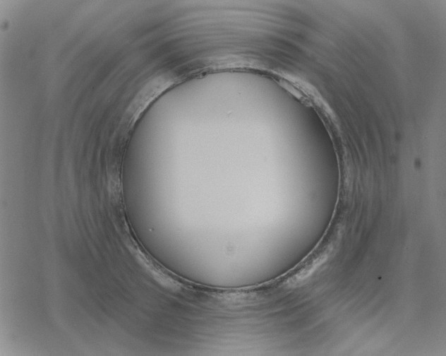 X0000076400897200610271615