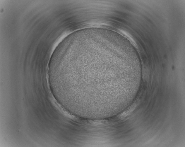 X0000076400899200610271615