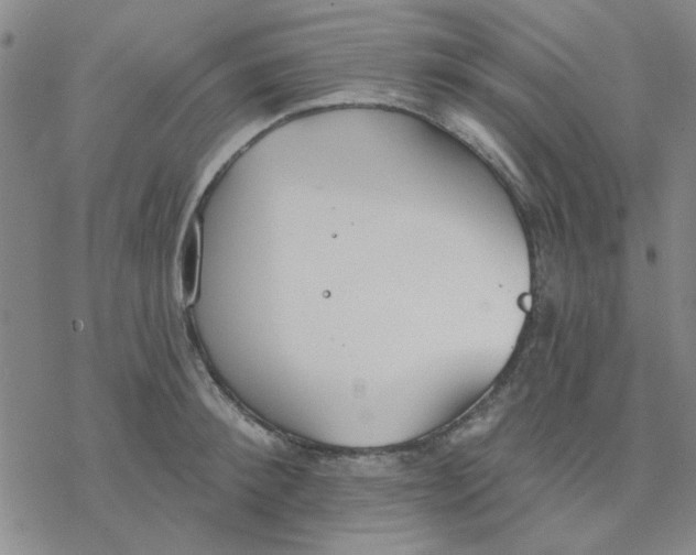 X0000076400900200610271615