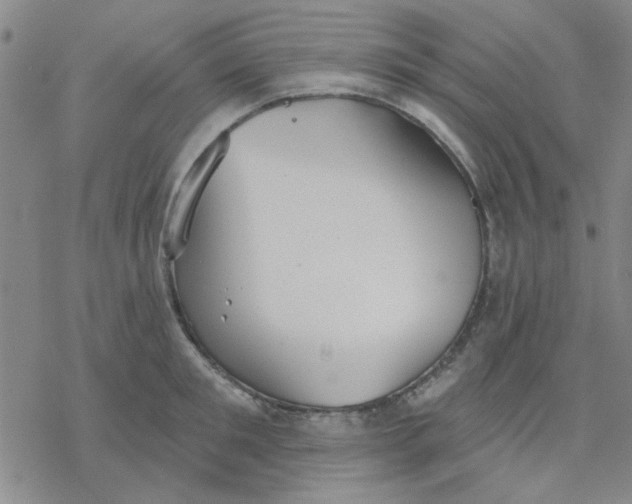 X0000076400901200610271615