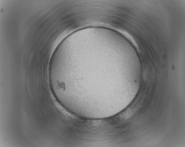 X0000076400903200610271615