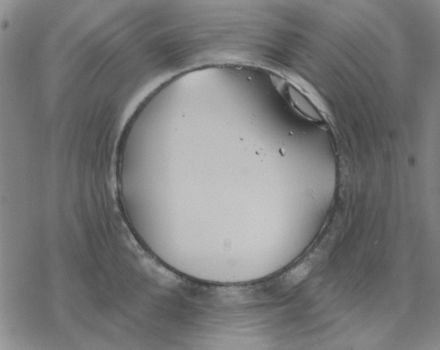 X0000076400904200610271615