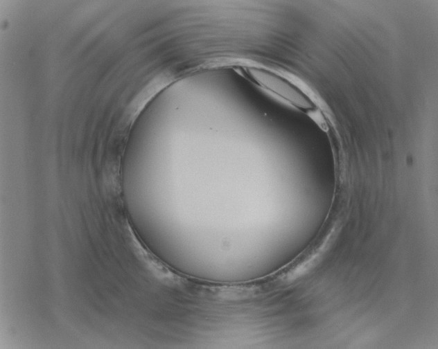 X0000076400905200610271615