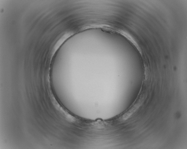 X0000076400906200610271615