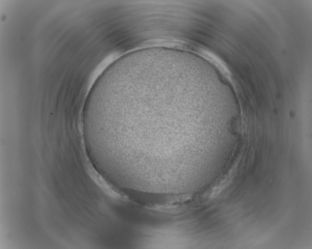 X0000076400907200610271615