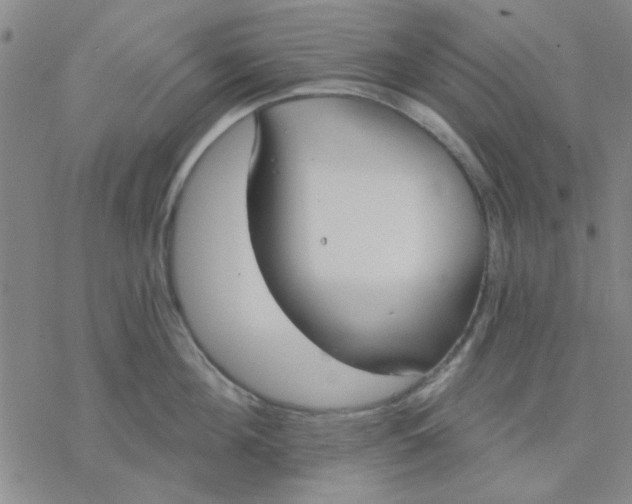 X0000076400908200610271615