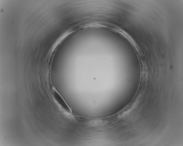 X0000076400909200610271615