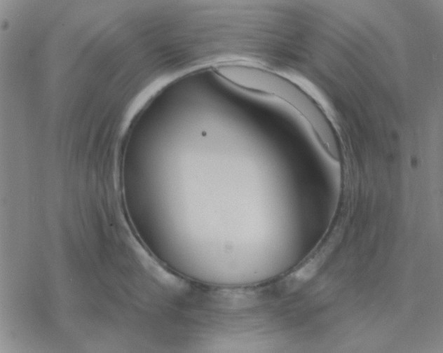 X0000076400910200610271615