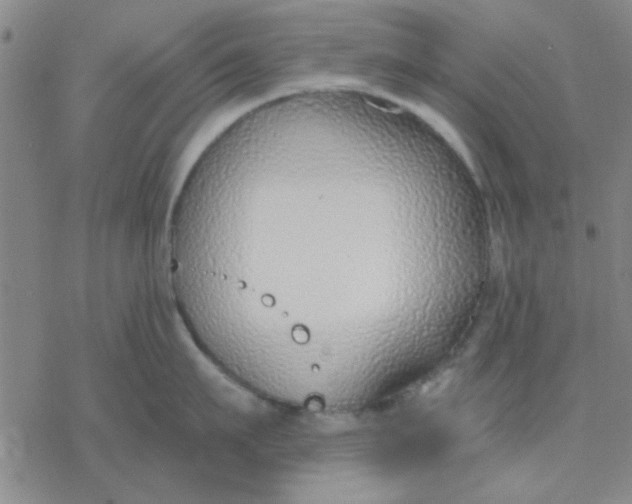 X0000076400911200610271615