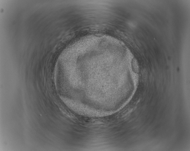 X0000076400913200610271614