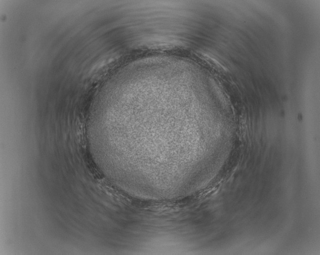 X0000076400917200610271614