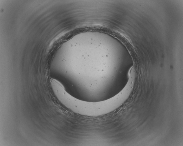 X0000076400920200610271614