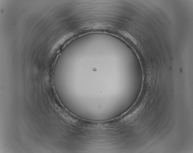 X0000076400922200610271614