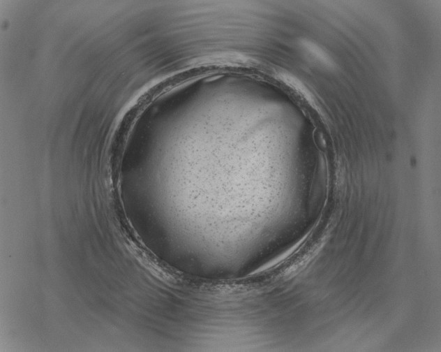 X0000076400923200610271614