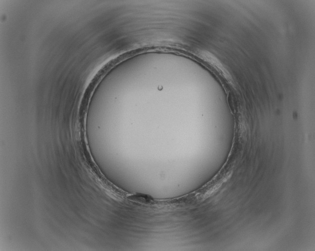 X0000076400924200610271614