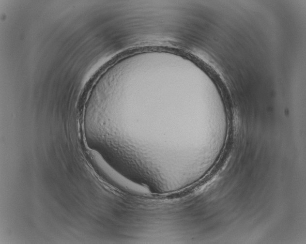 X0000076400925200610271614