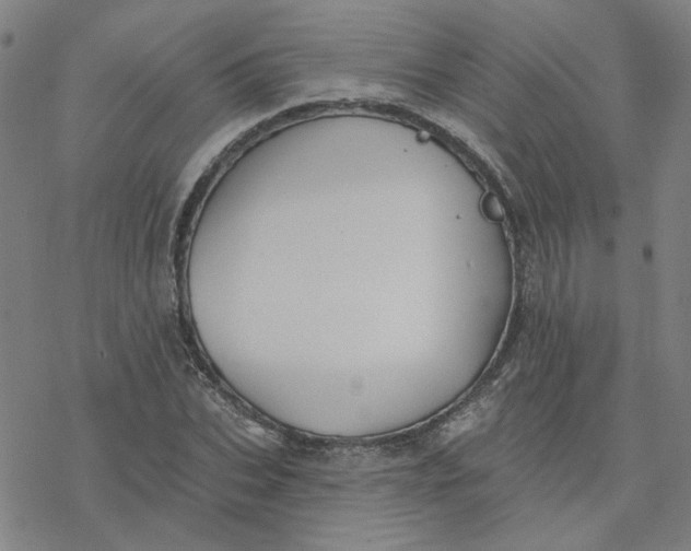 X0000076400927200610271614