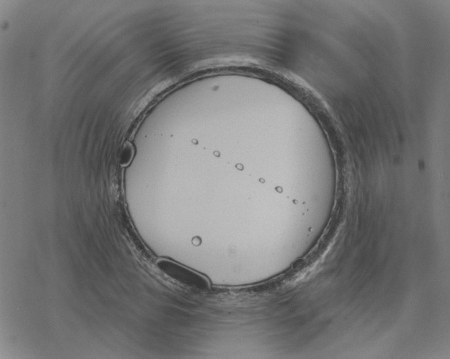 X0000076400929200610271614