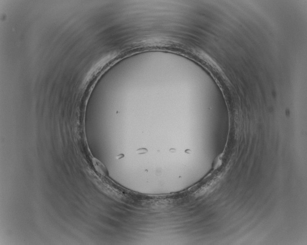 X0000076400930200610271614