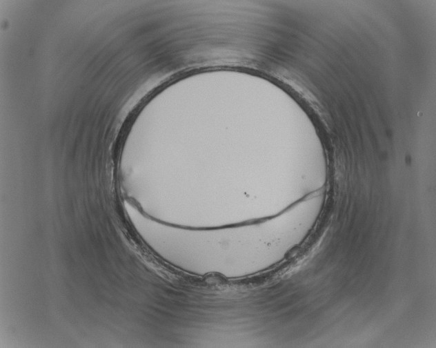 X0000076400933200610271614