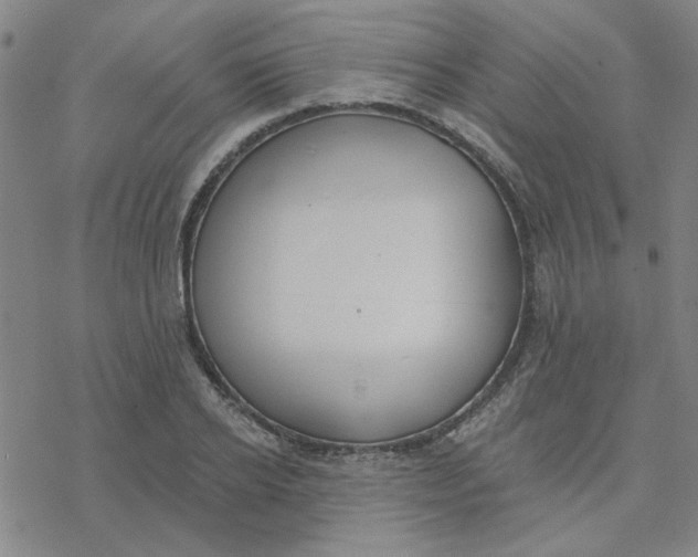 X0000076400934200610271614