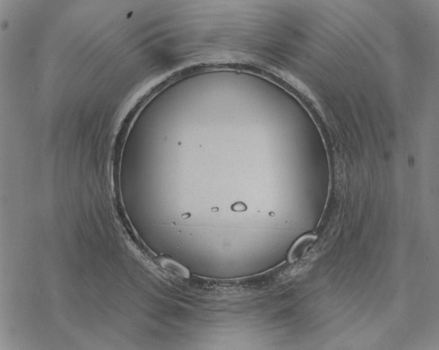 X0000076400935200610271614