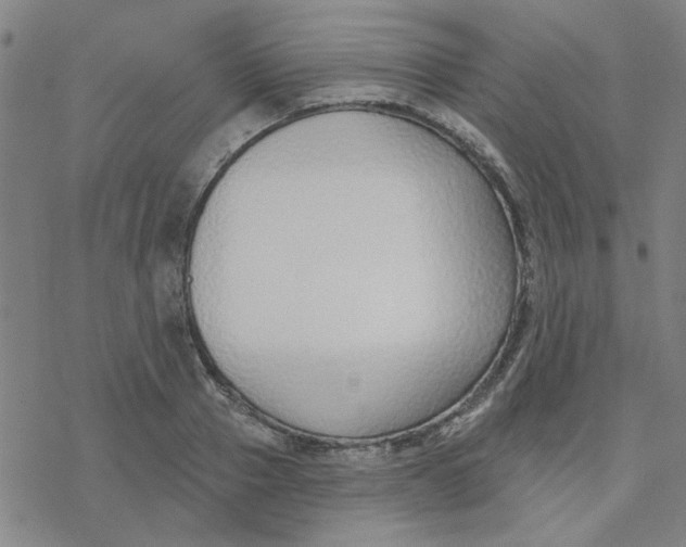 X0000076400937200610271614