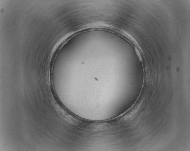 X0000076400939200610271614