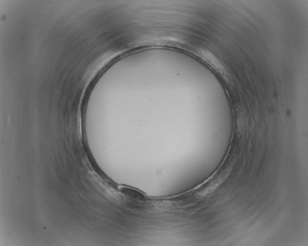 X0000076400940200610271614