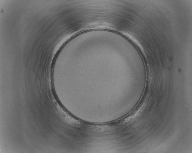 X0000076400941200610271614