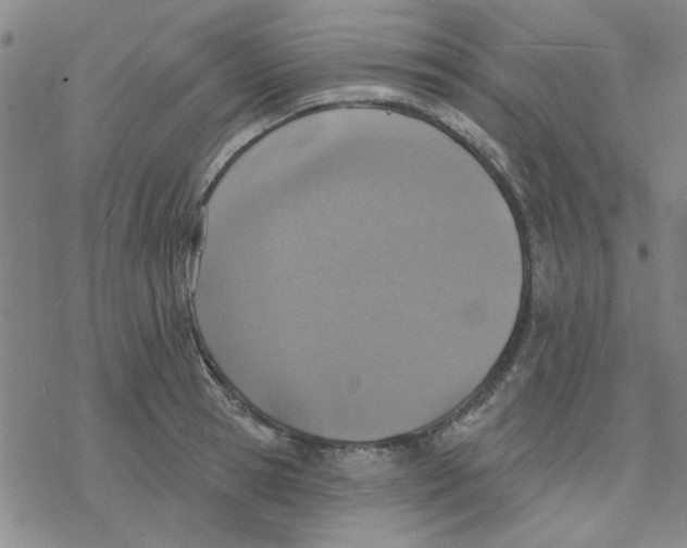 X0000076400945200610271614