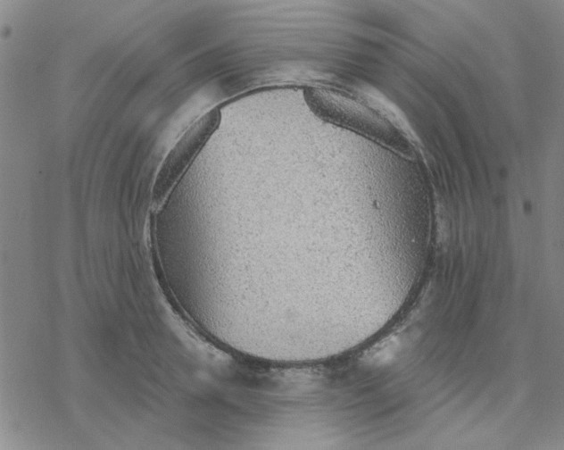 X0000076400946200610271614