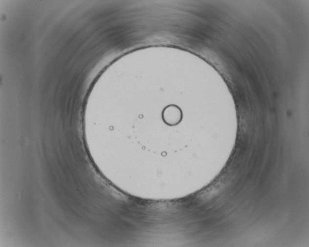 X0000076400950200610271614