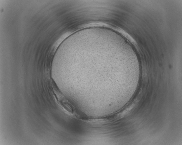 X0000076400953200610271615