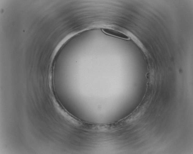 X0000076400955200610271615