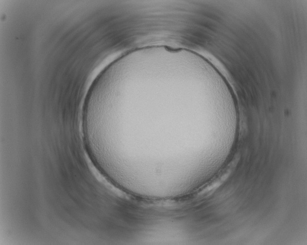 X0000076400957200610271615