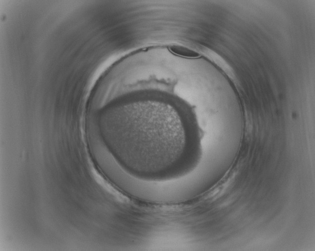 X0000076400958200610271615