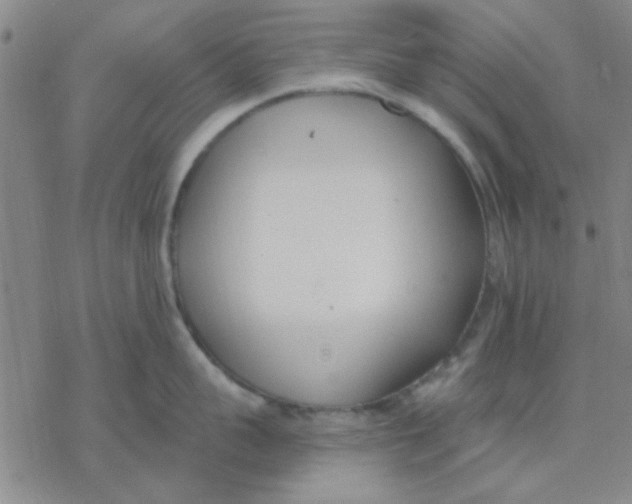 X0000076400959200610271615