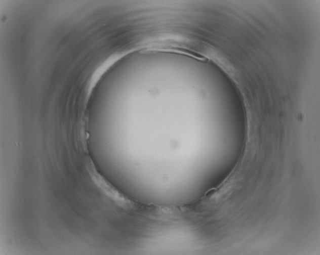 X0000076400960200610271615