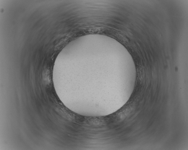 X0000076400962200610271614