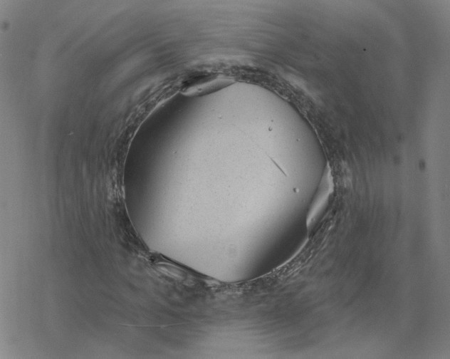 X0000076400965200610271614