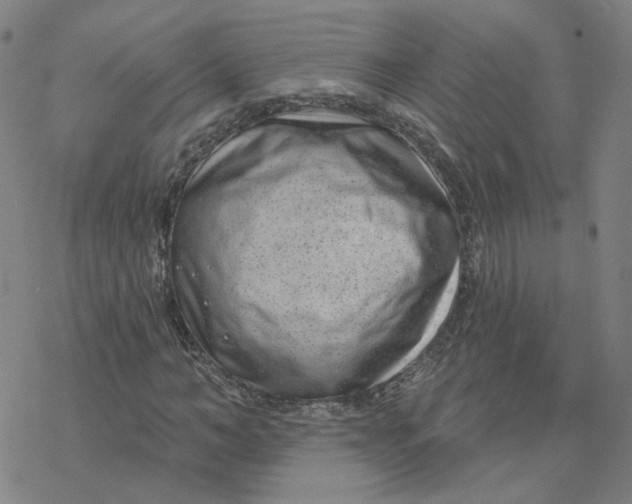 X0000076400966200610271614