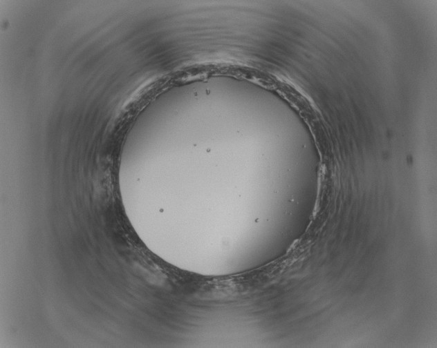 X0000076400968200610271614