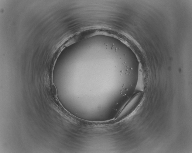 X0000076400969200610271614